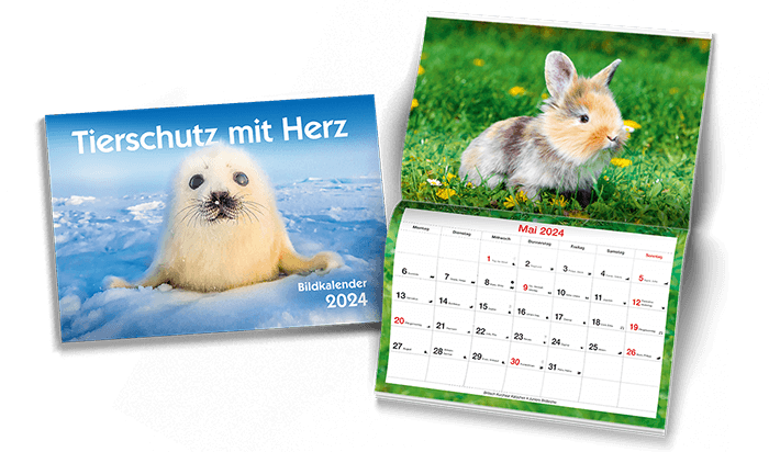 Das aktuelle Tierschutz mit Herz Magain